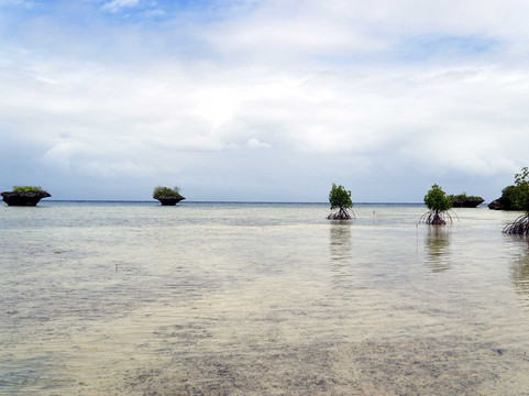 Mushroom Rock-莫阿尔博阿尔必去景点