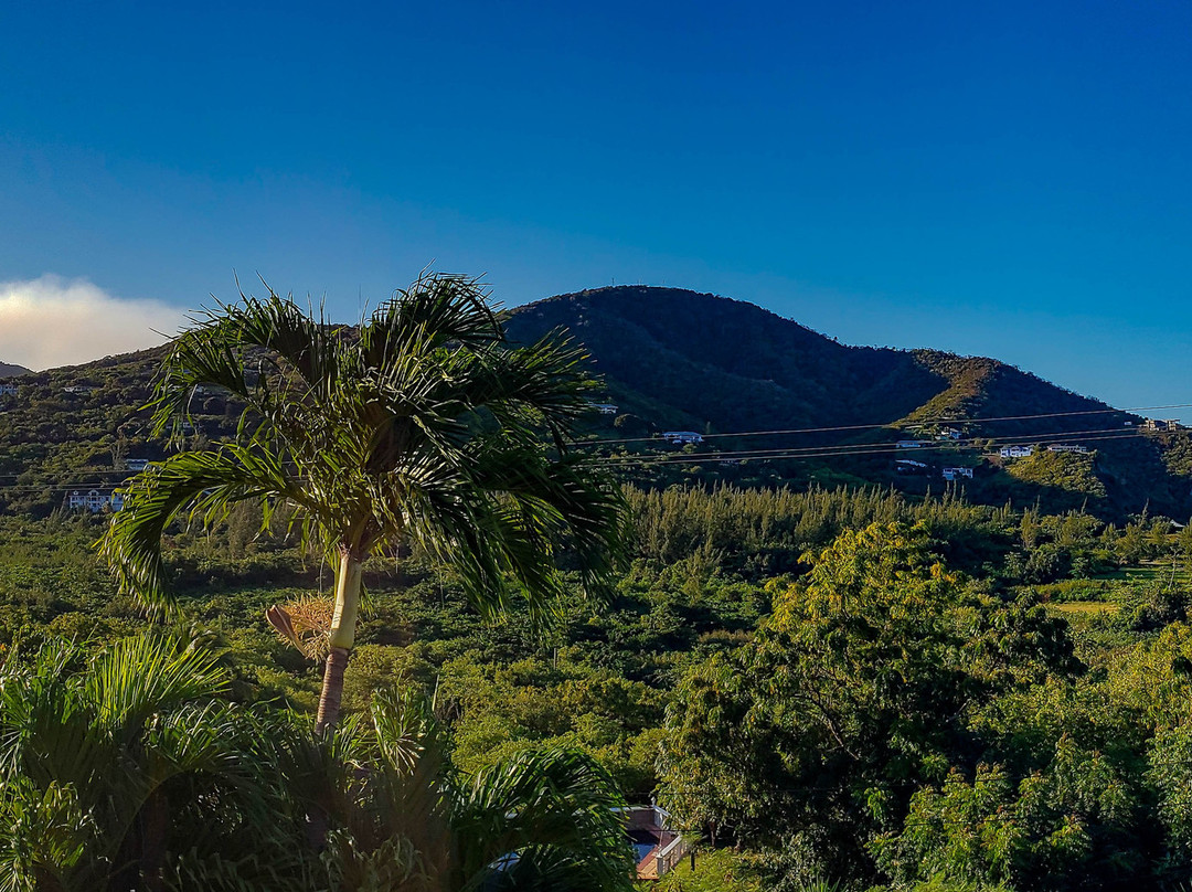 Essence Guesthouse主图