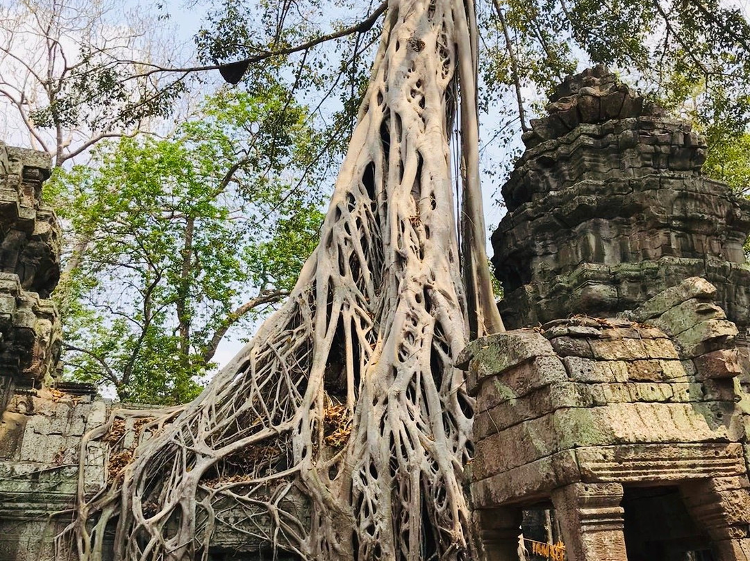 Life Changing Adventures Ltd景点图片