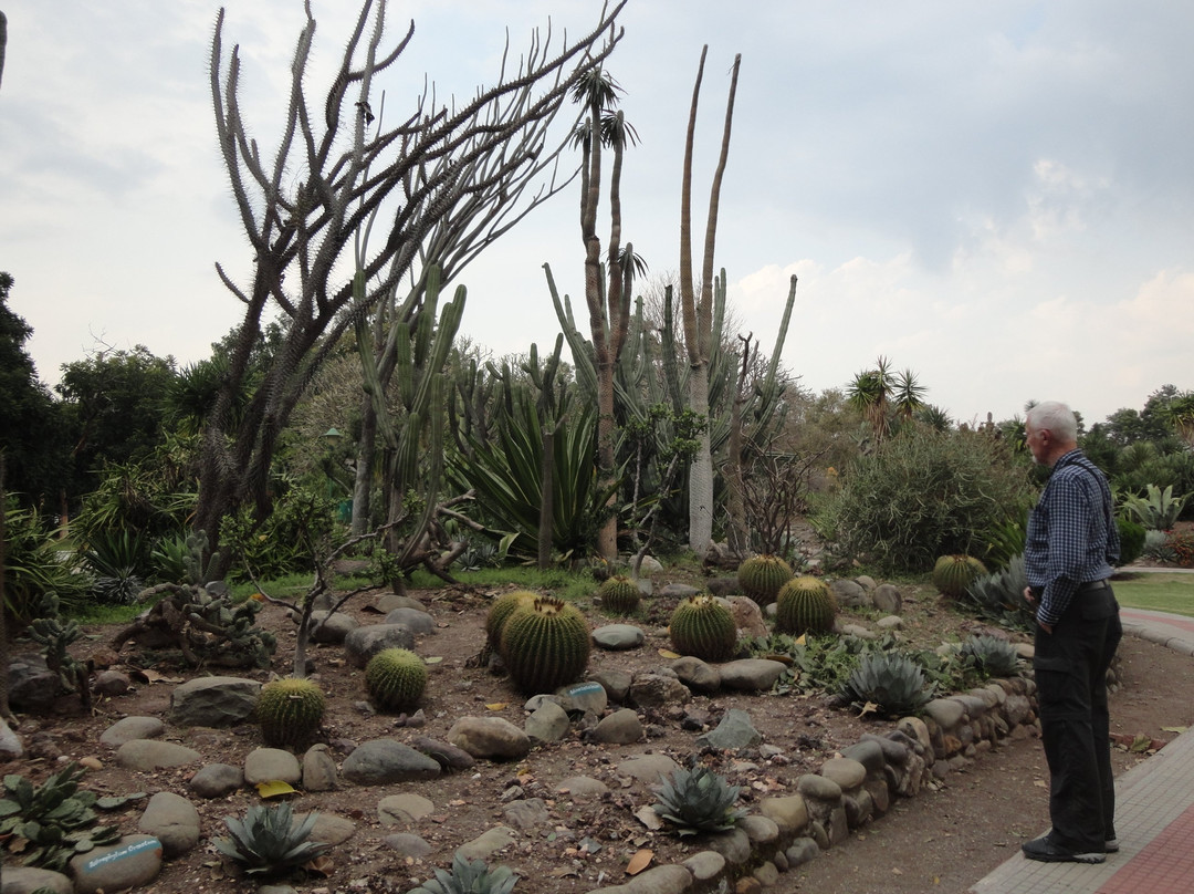 Sarkaria Cactus Garden景点图片