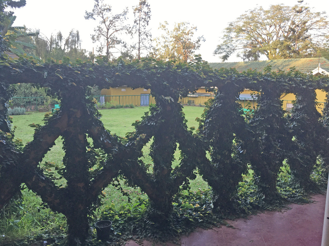 Little Woods Inn主图