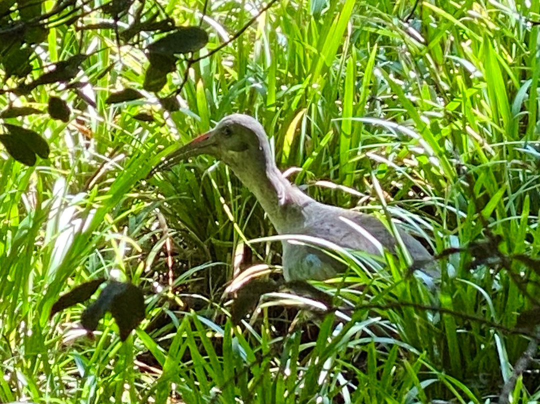 撒克逊水疗别墅主图