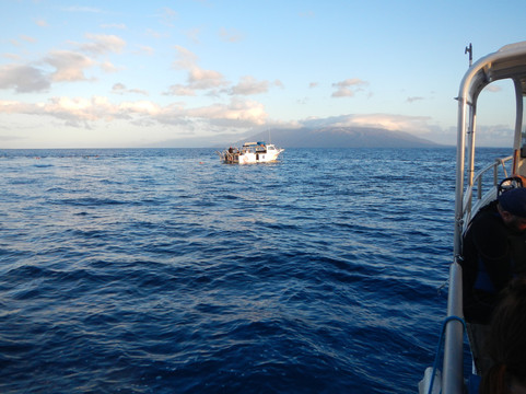 Mike Severns Diving-基黑必去景点