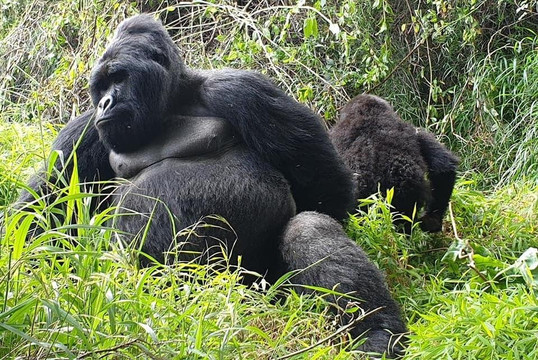 Katona Tours and Travel