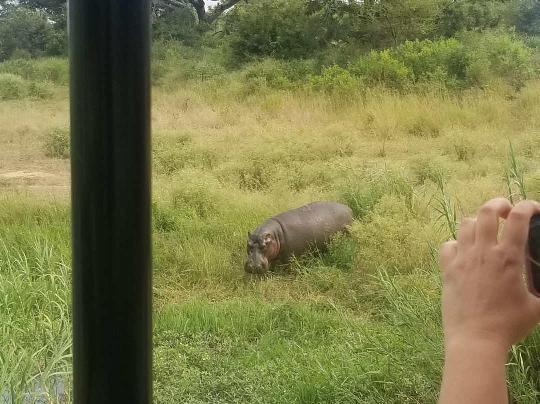 Sentashya Safaris-玛洛斯帕克必去景点