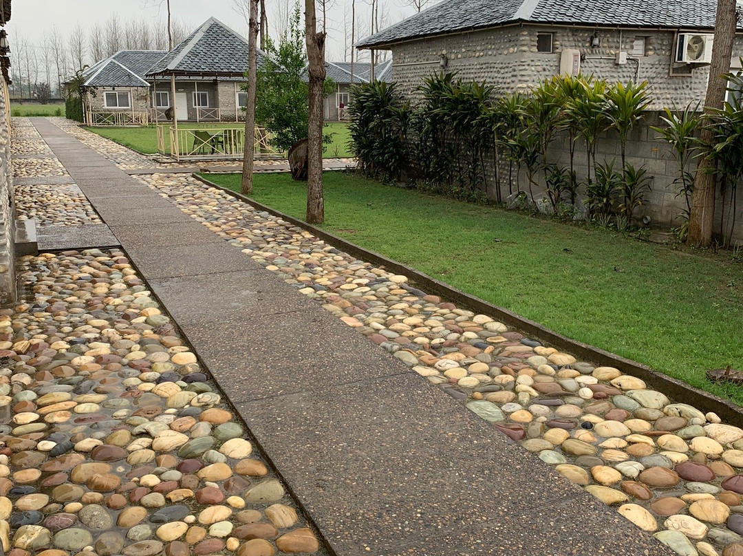 Anand At The Satluj主图