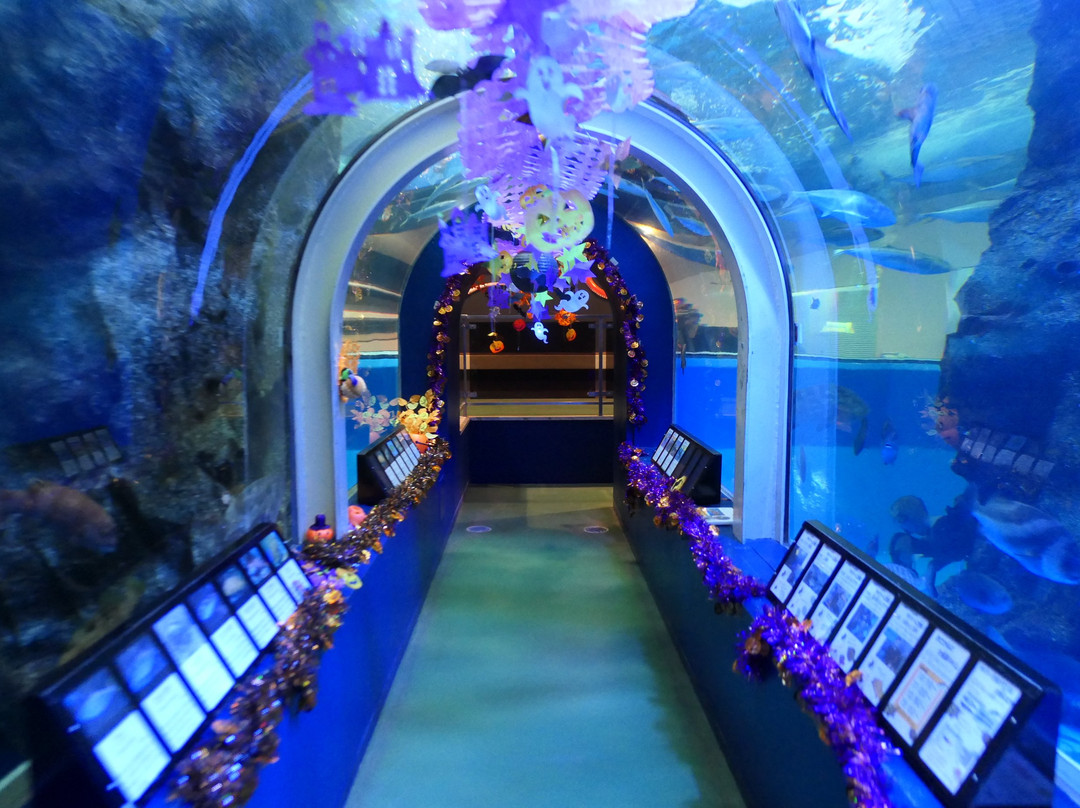 Uozu Aquarium-鱼津市必去景点