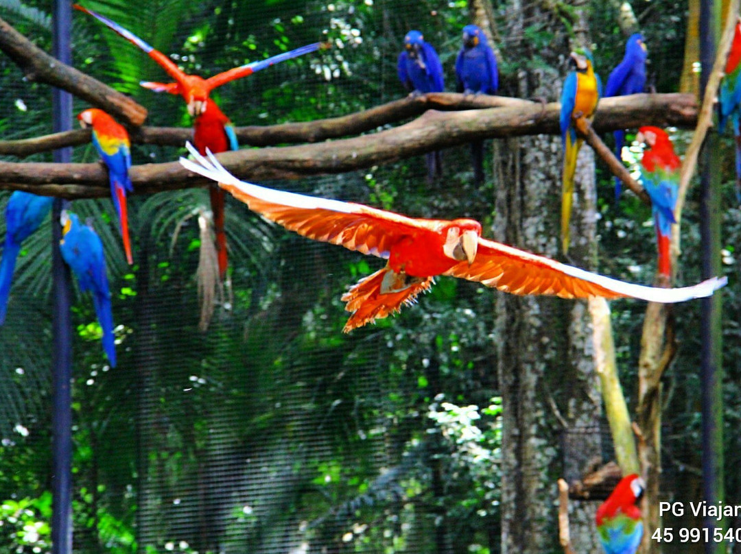 PG Viajantes-伊瓜苏必去景点