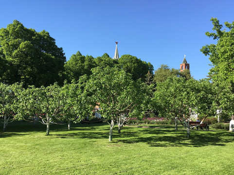 Wow! Moscow Tours-莫斯科必去景点