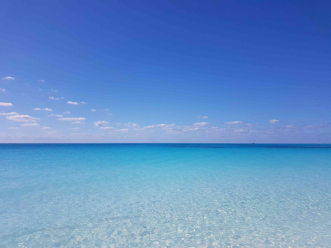 Hotel Pelicano主图