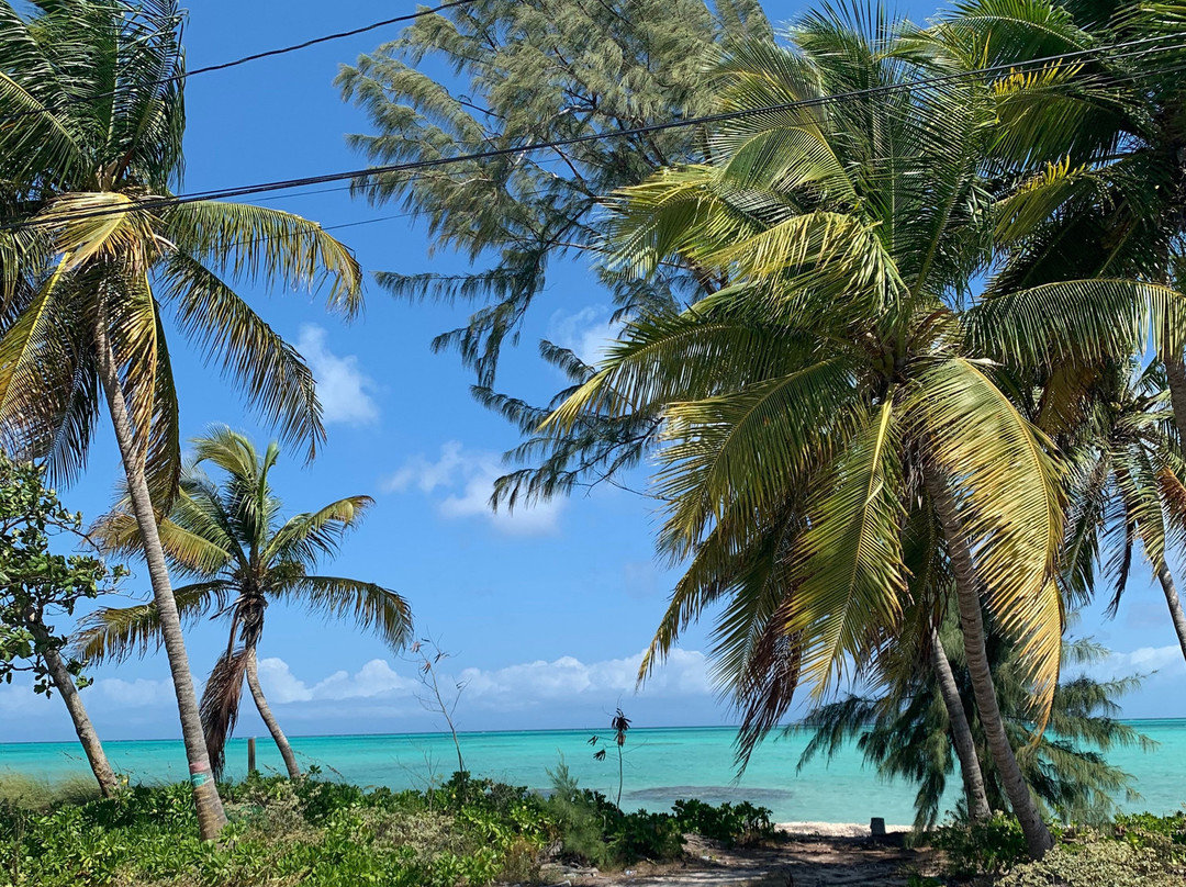 Paradise Scooters-格雷斯湾必去景点