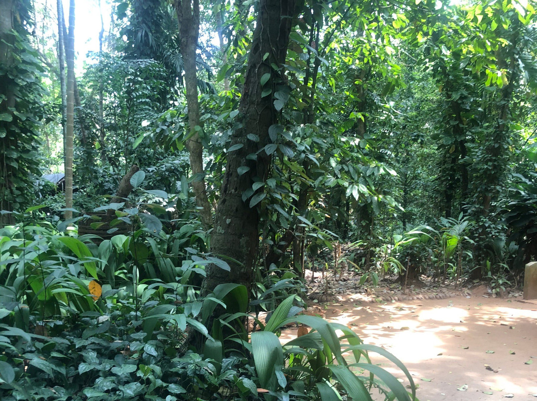 Luck Grove Spice Garden-Matale必去景点