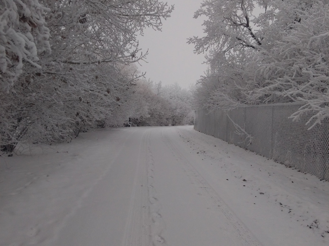 Bud Miller All Seasons Park-劳埃德明斯特必去景点