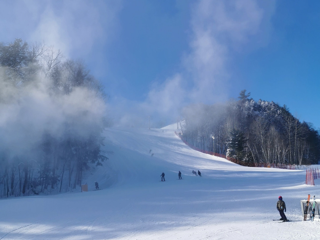 Hidden Valley Highlands Ski Area-亨茨维尔必去景点