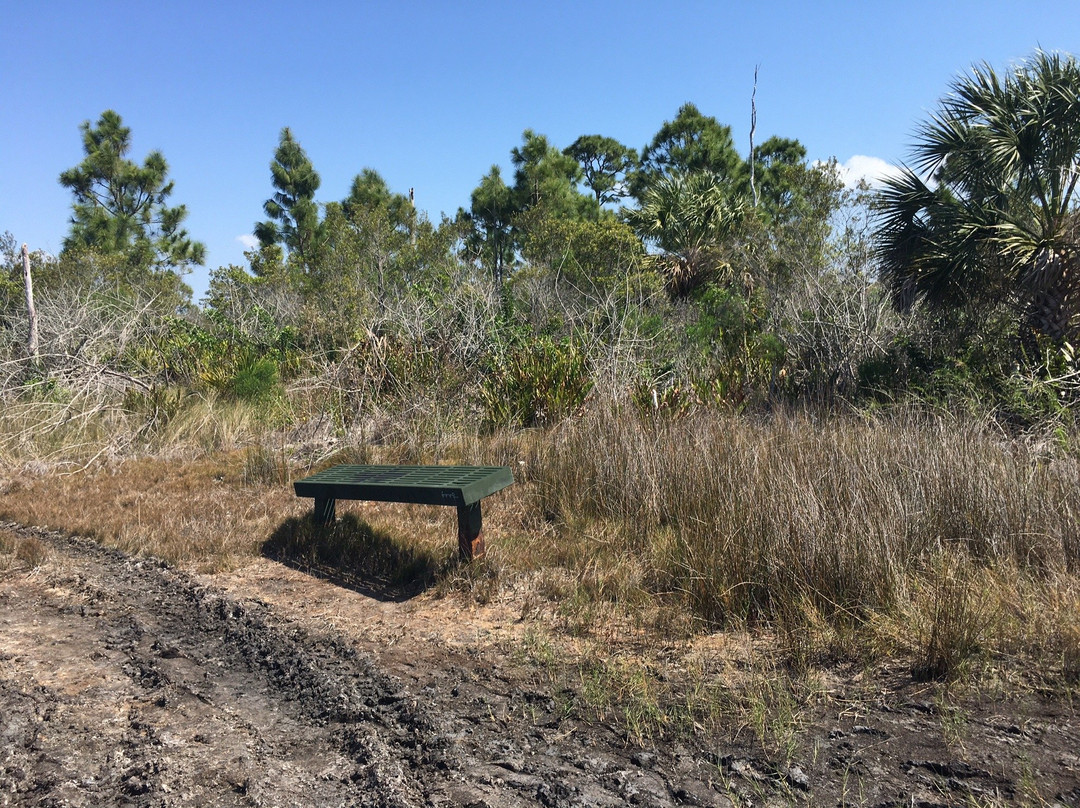 Estero Bay Preserve State Park-迈尔斯堡海滩必去景点