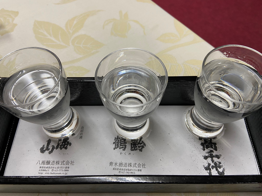 Ikazawa Onsen Yumotokan主图