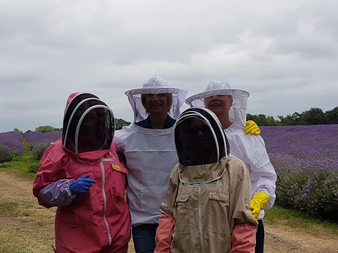 nnoodl-伦敦必去景点