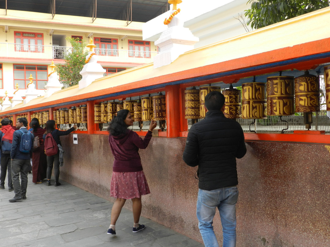 Do Drul Chorten Stupa景点图片