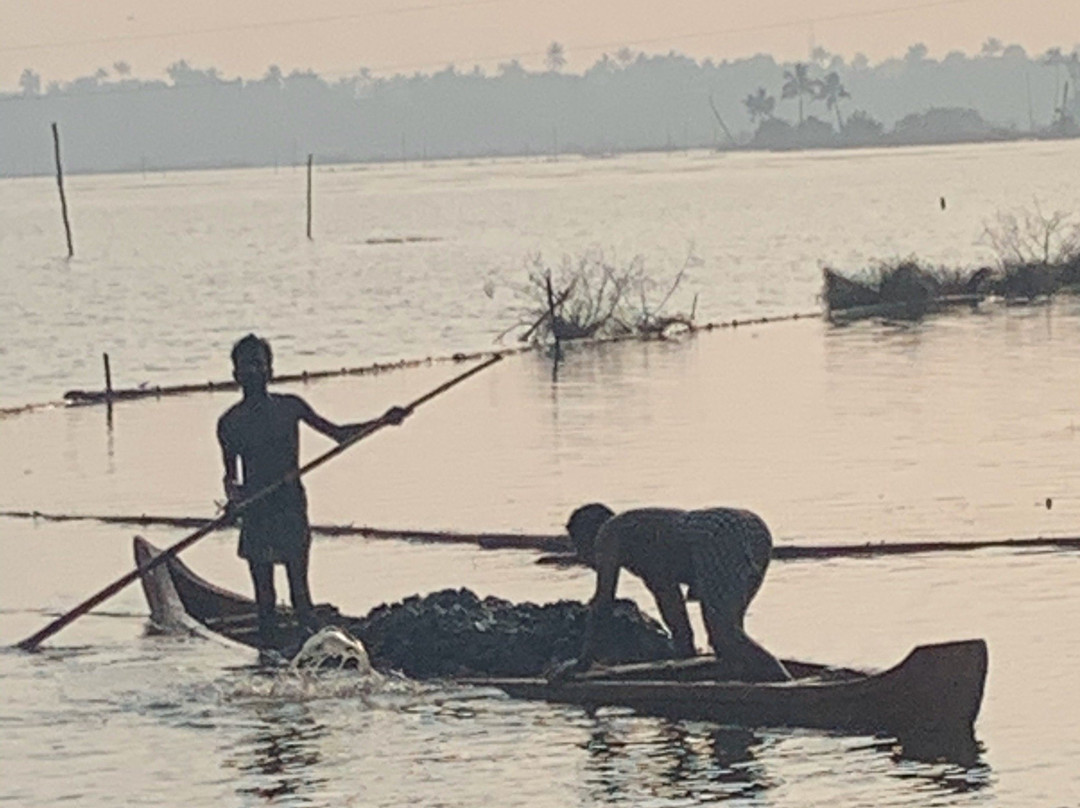 Godwit Adventures - Village Bike tour & Bidwatching-阿拉普扎必去景点