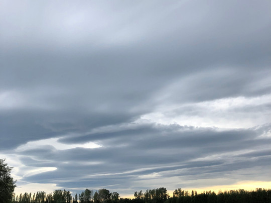 Geraldine Farm Tours-杰拉尔丁必去景点