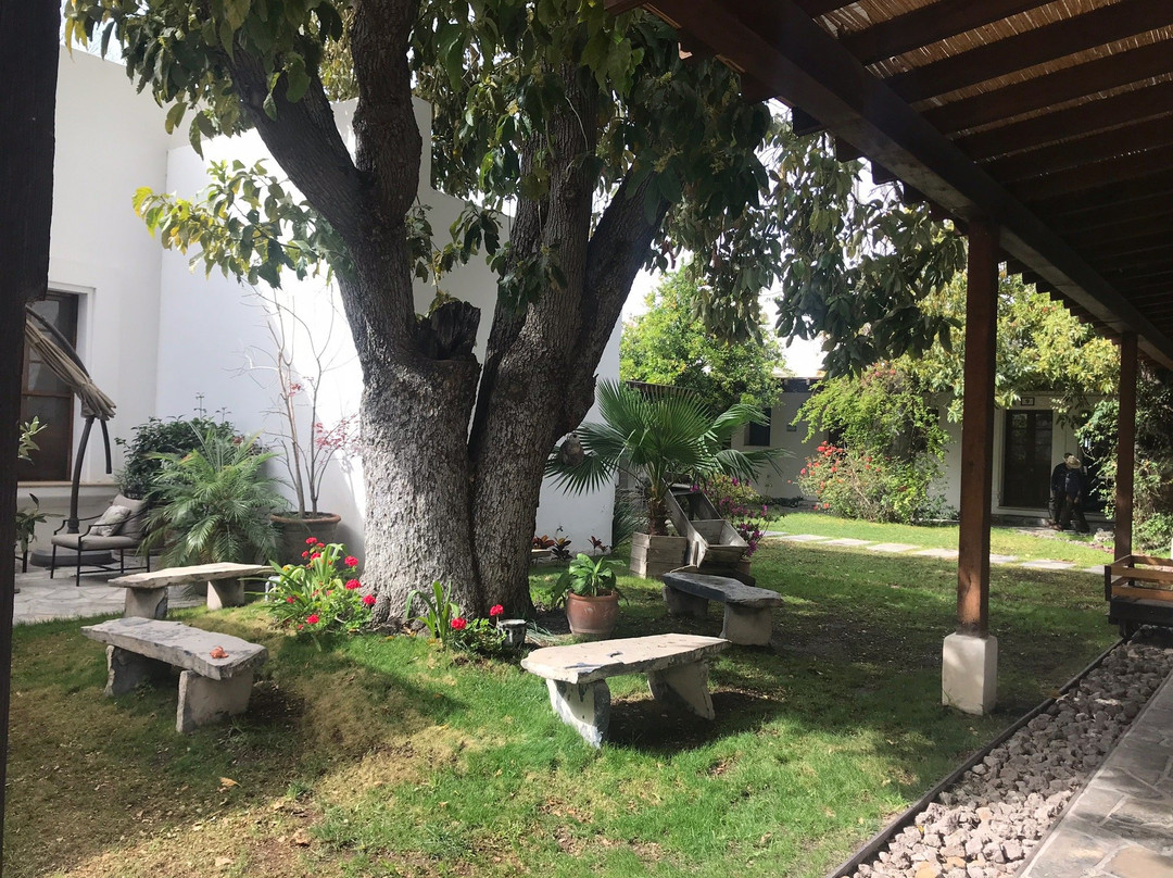 La Casona del Banco主图