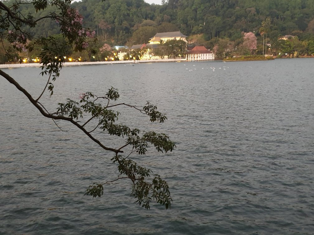康提湖景点图片