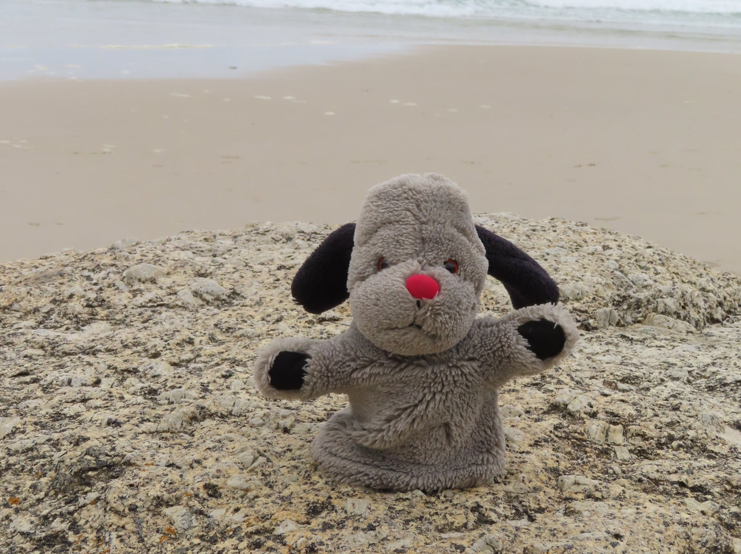 Llandudno Beach-Llandudno必去景点
