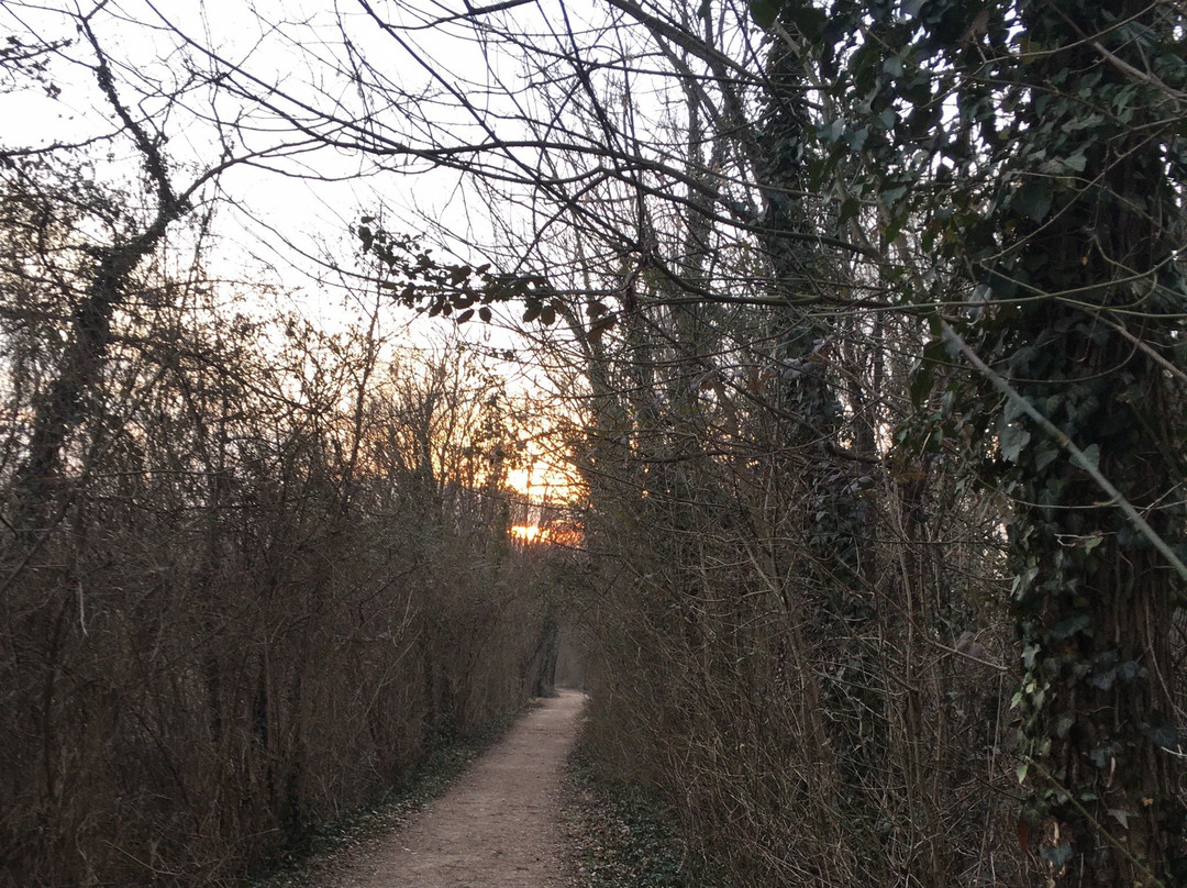 Parco dei Laghetti-Martellago必去景点