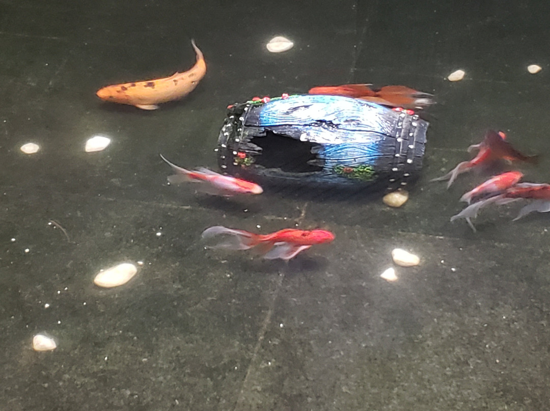 Virgilius Palace Hotel主图