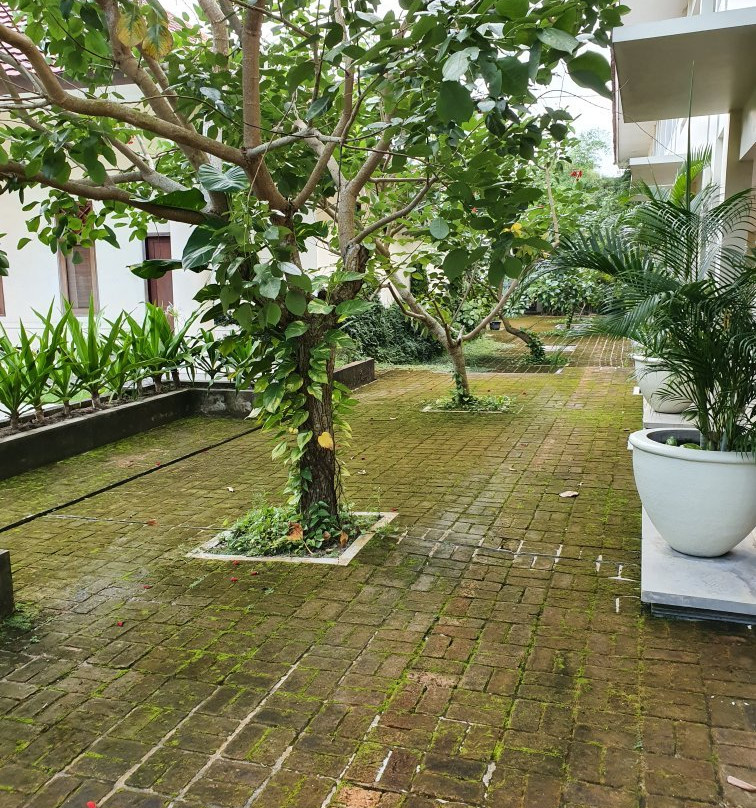 碧丽彤酒店俱乐部主图