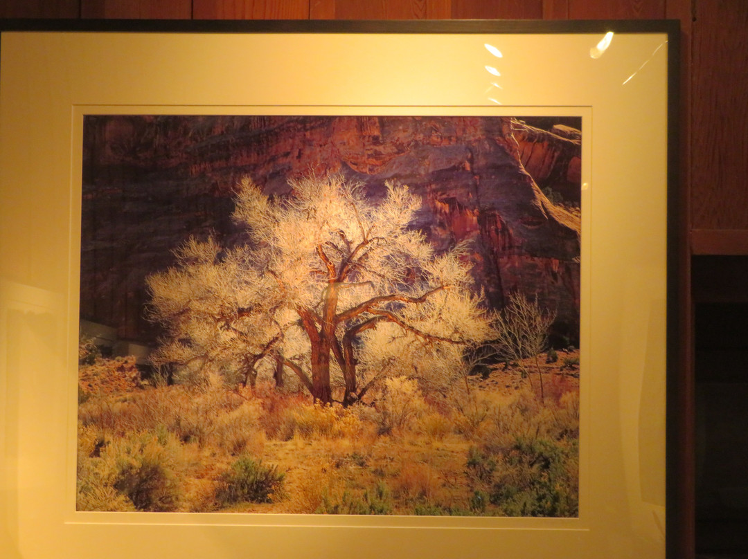 Photography West Gallery-卡梅尔必去景点