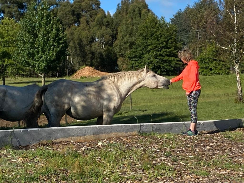 Dullstroom on the Dam-德尔斯特鲁姆必去景点