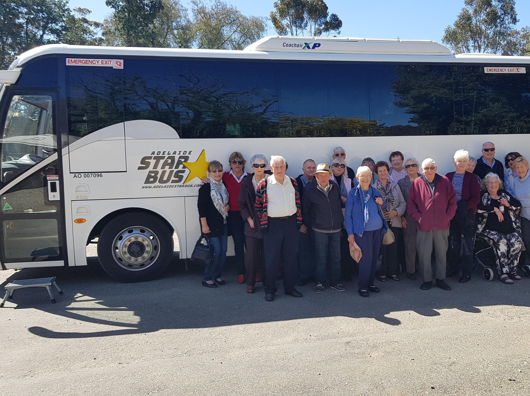 Adelaide Star Bus景点图片