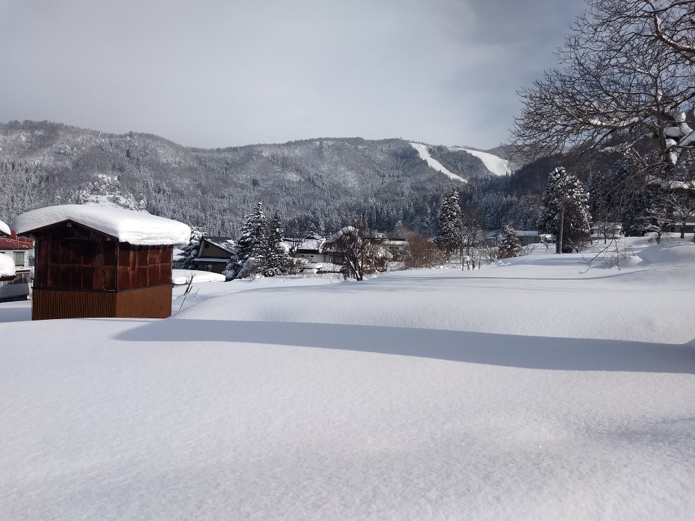 Nozawa Central Hotel-官方