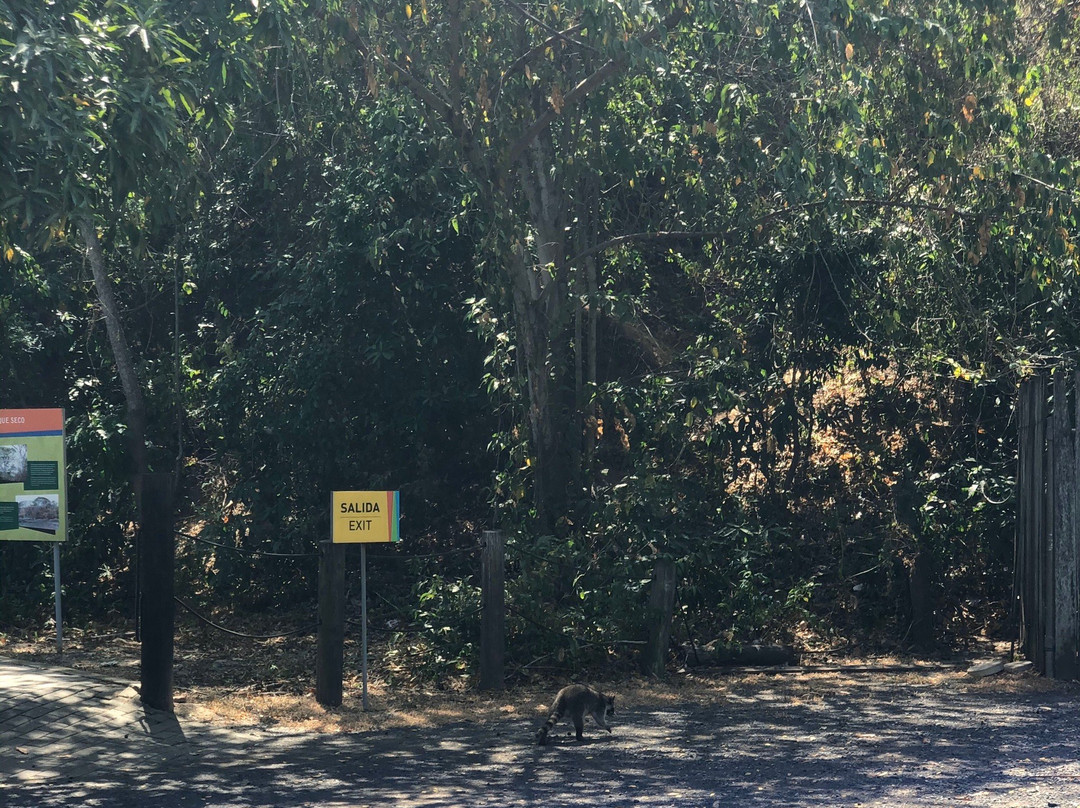 Smithsonian Tropical Research Institute景点图片