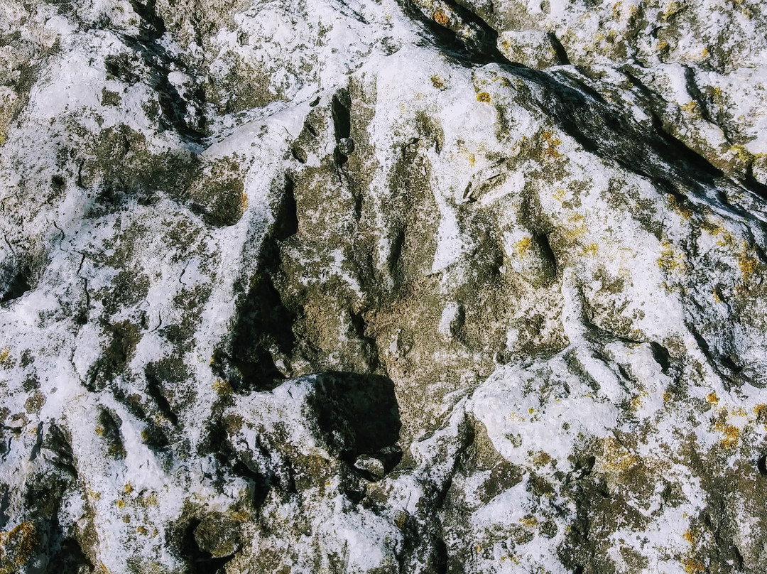 San Gabriel River-Georgetown必去景点