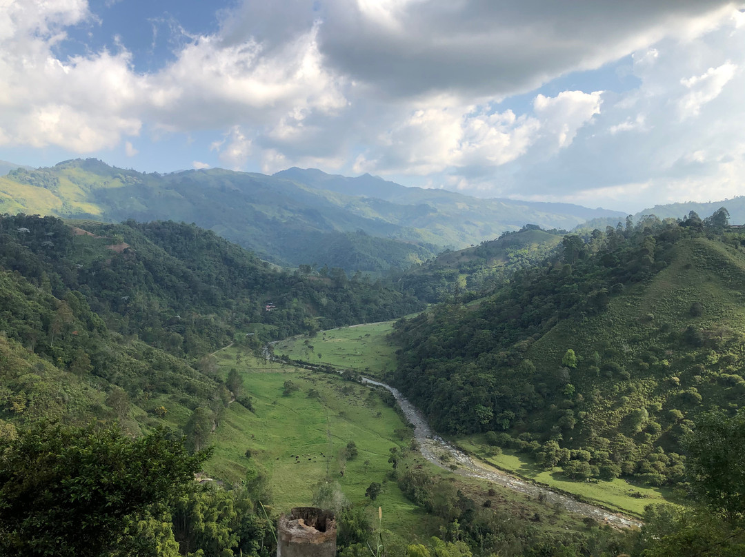 Las Acacias Coffee Farm-萨伦托必去景点