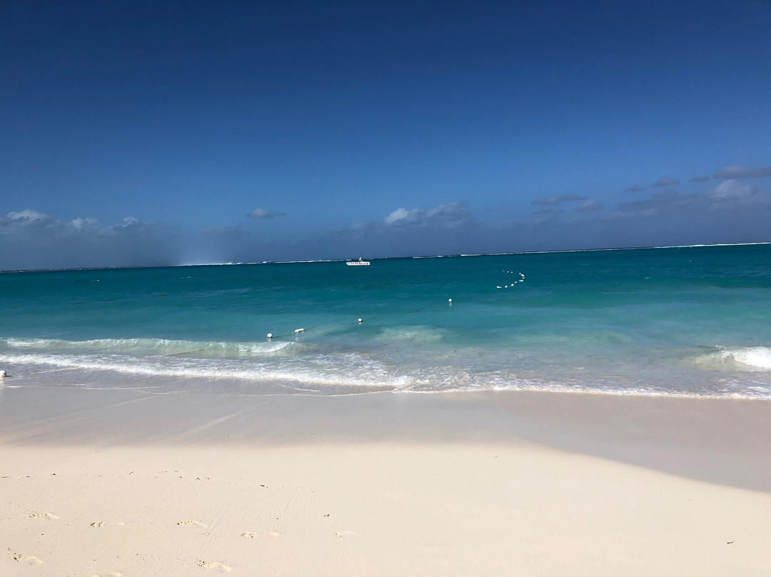 The Somerset on Grace Bay主图