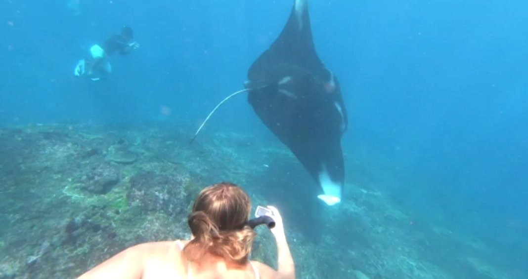 Lembongan Excursion-珀尼达岛必去景点