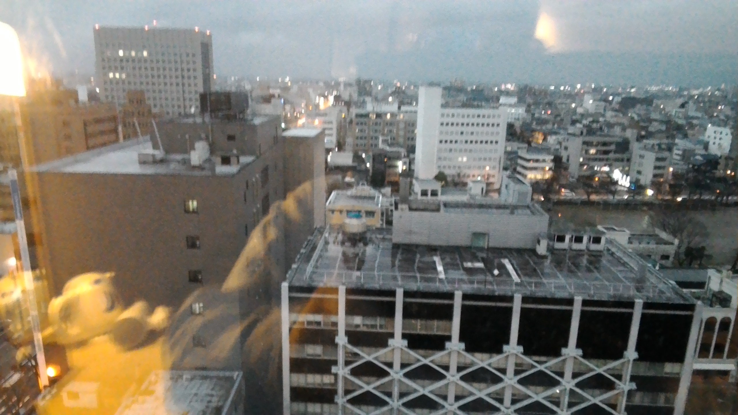 Hotel Fujita Fukui-酒店景观