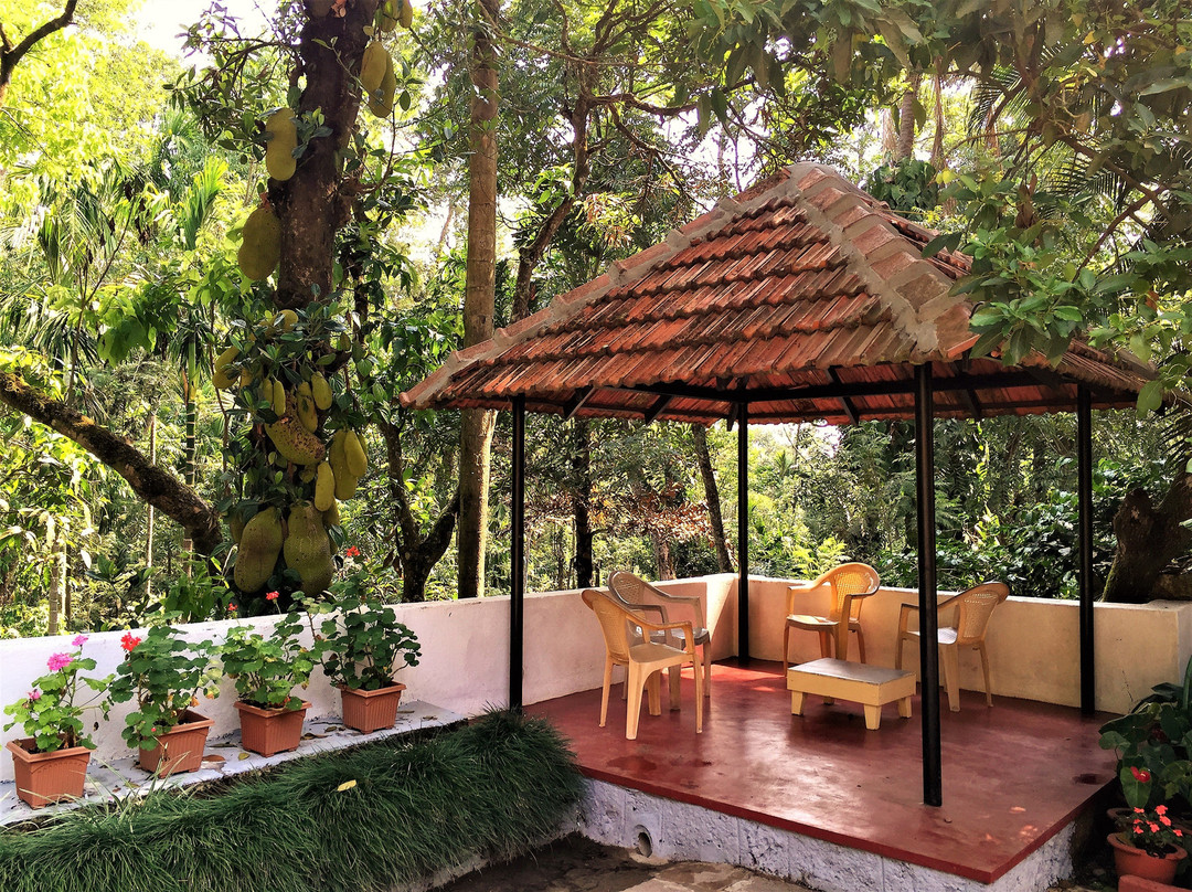 Guddadamane Homestay主图