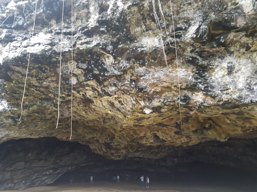 Maniniholo Dry Cave-可爱岛必去景点