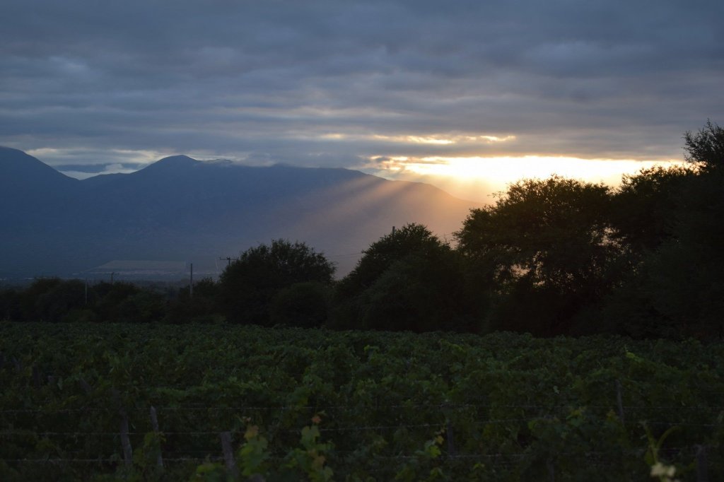 Vinas de Cafayate Wine Resort-酒店景观