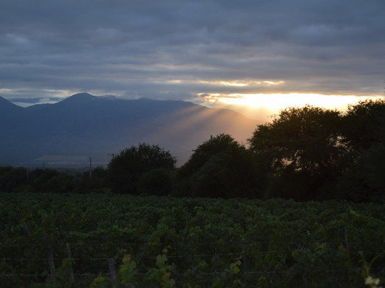 Vinas de Cafayate Wine Resort主图