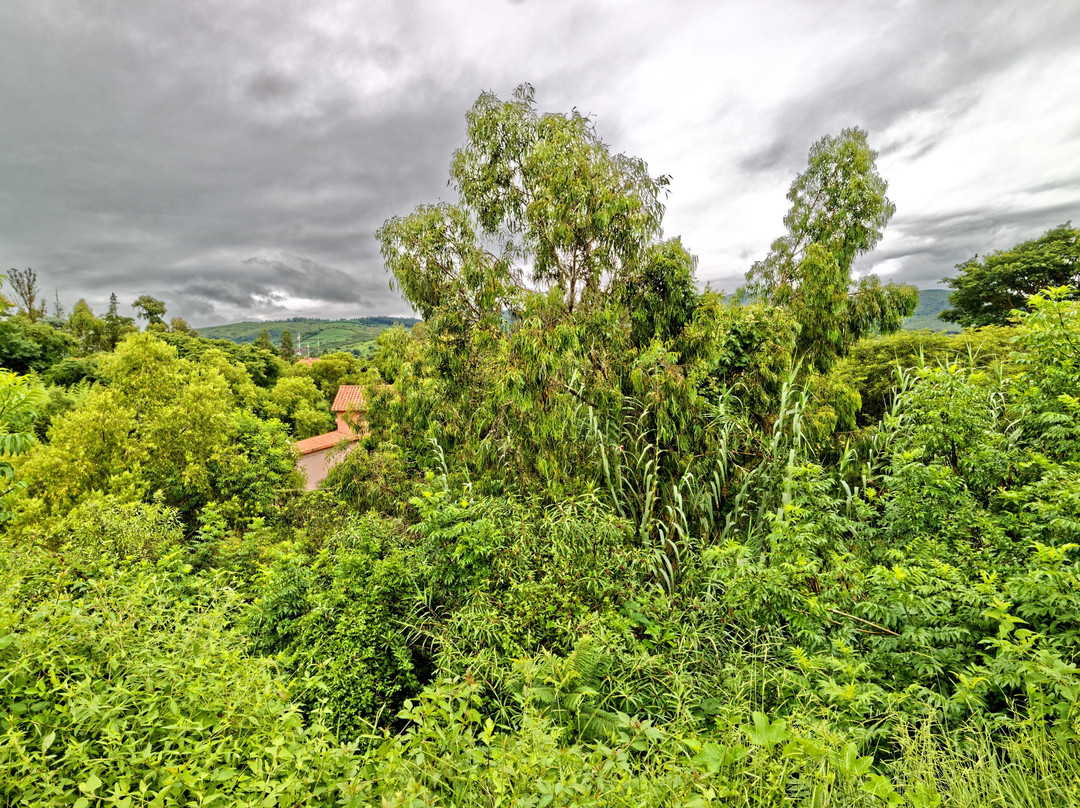 Yvy Casa Hotel主图