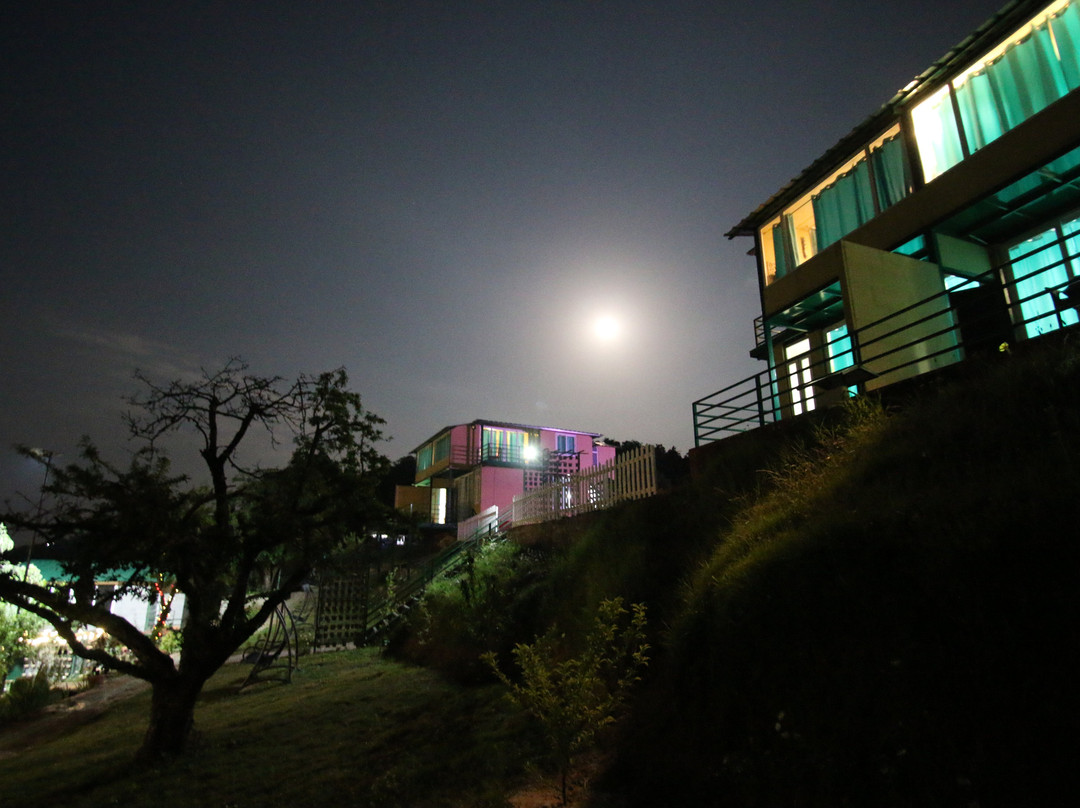 Nest And Hives主图