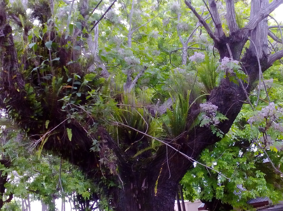 Reserva Natural Municipal Santa Catalina景点图片