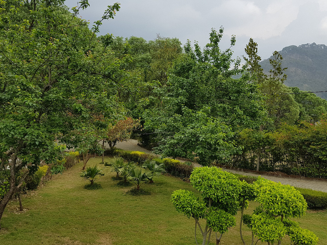 Chirping Hills Resort, Bhimtal主图