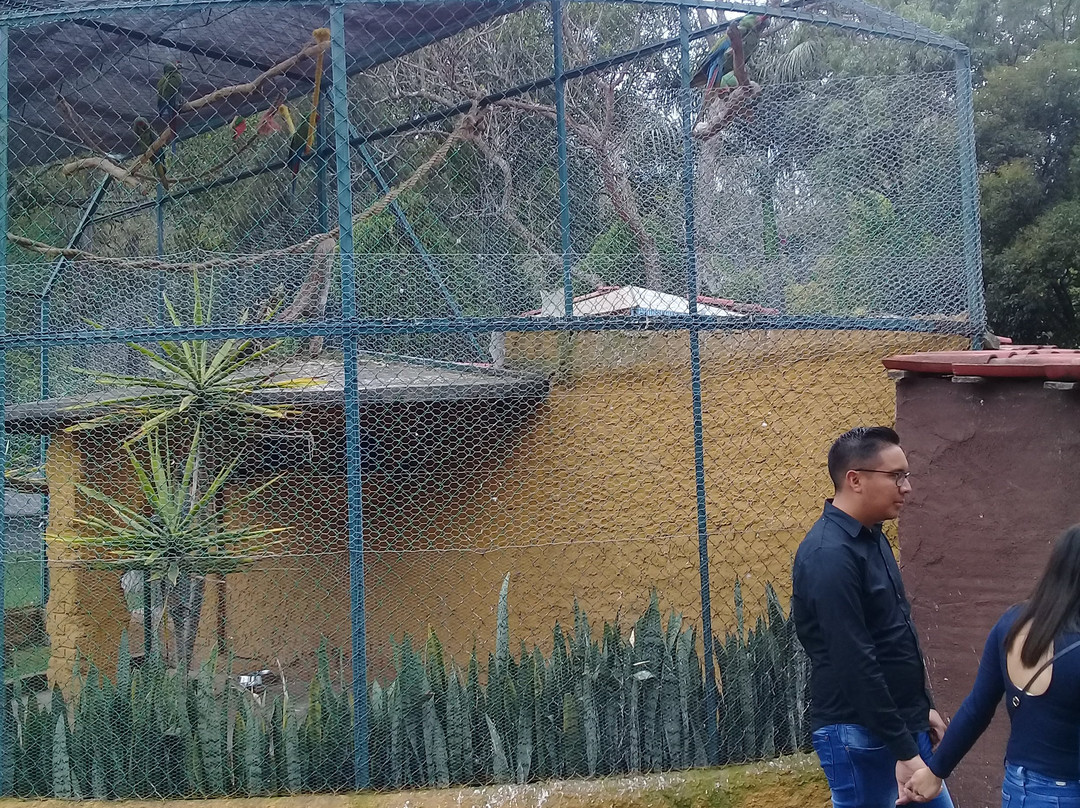 Parque Zoológico Benito Juárez景点图片