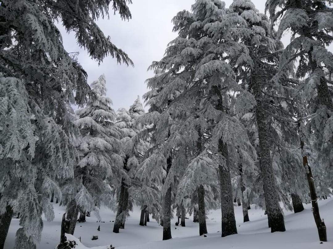 Hôtel Tidghine主图